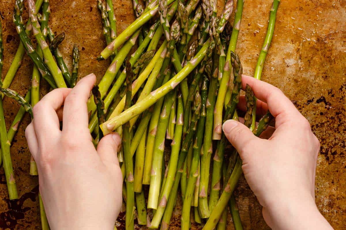 hands tossing asparagus with oil on baking pan