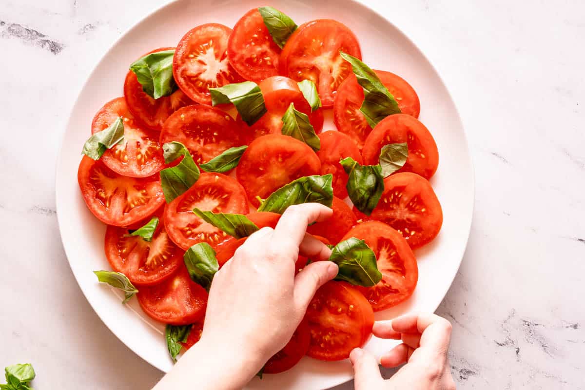 adding fresh basil to platter of sliced tomatoes