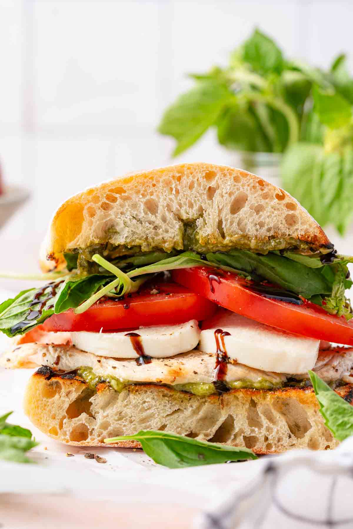 chicken sandwich with tomato mozzarella and basil with basil in background.